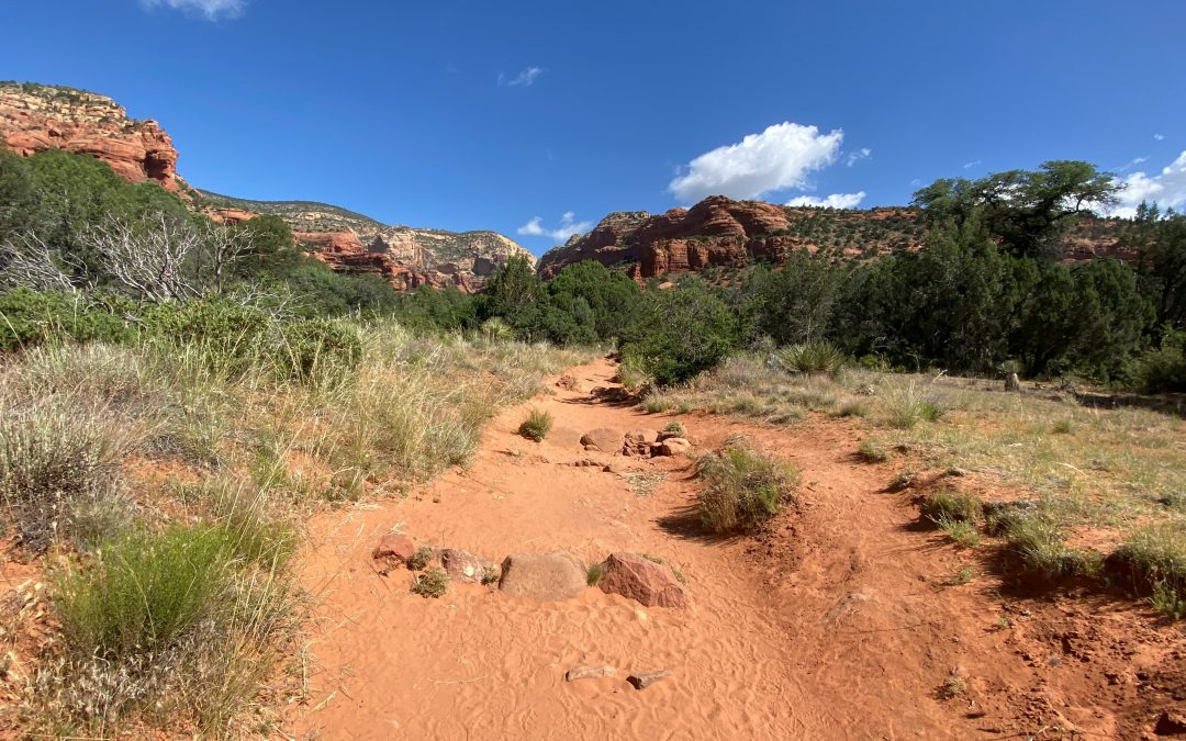 Making a way in the wilderness