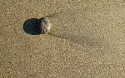 Ebb and Flow
